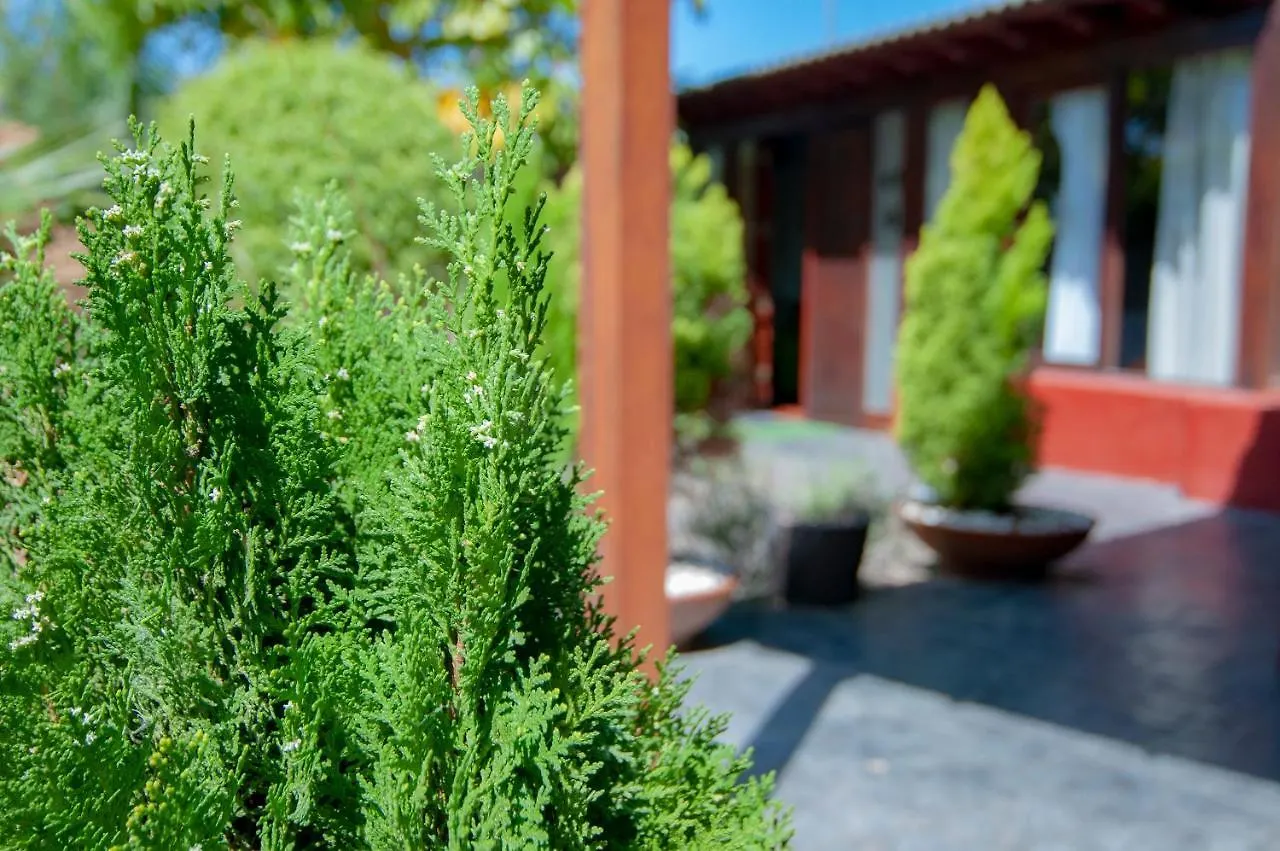 El Rincón Del Huroncillo Tejina Casa de Férias